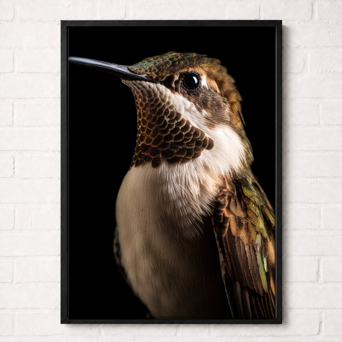 Kolibrie Poster - Vogelportretten Collectie - Dieren Posters - A1+ 61 x 91,5 cm