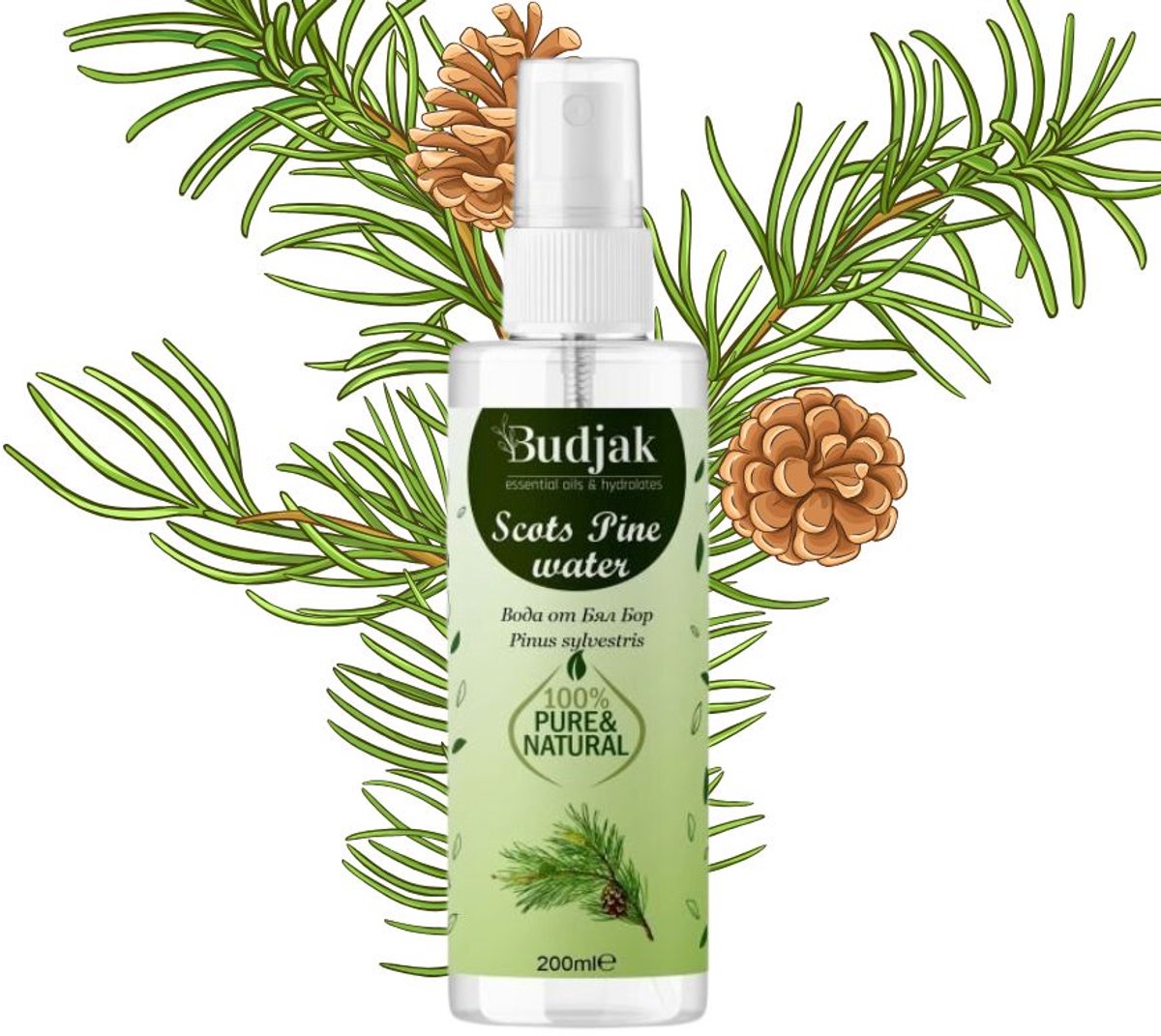 Biologische Bloemenwater van grove den (Pinus sylvestris) – vette huid - tonifieert - 200ml