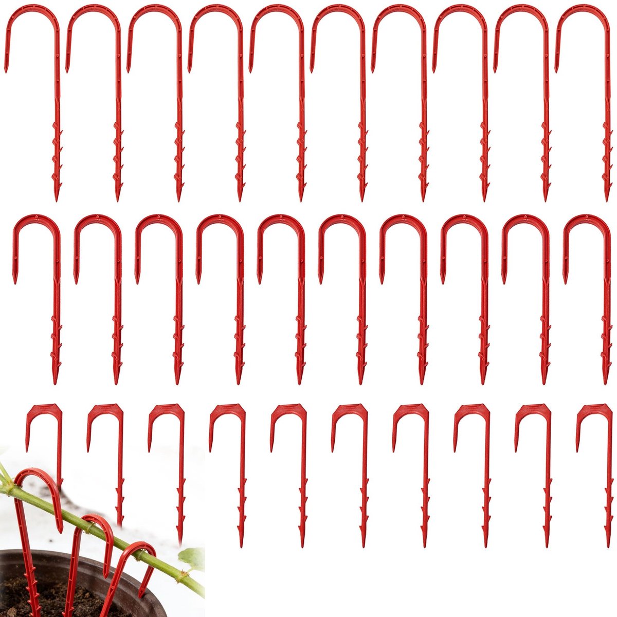 Solidchoice - Plantenbuigmachine met Trainingsclips voor Plantenstelen