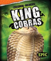 Amazing Snakes! - King Cobras