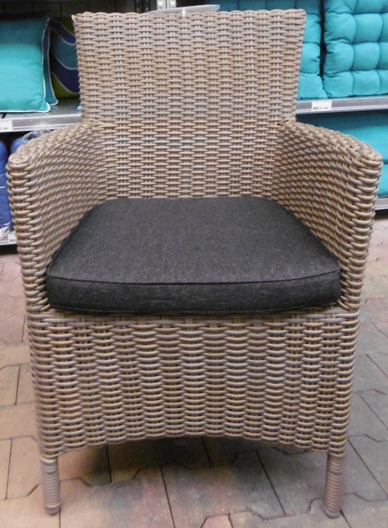 Diana Dining stoel incl handgreep Wicker HM02 Kobo - stof 239 | bol.com