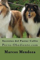 Secretos del Pastor Collie