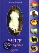 Spitze Sind Spitze!