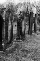 Tombstones in Autumn Gothic Notebook