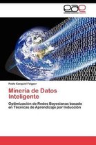 Minería de Datos Inteligente
