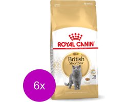 Royal Canin British Shorthair Adult - Kattenvoer - 6 x 400 g