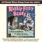 Rabbit Foot Blues: 18 Classic Blues Songs from the 1920's, Vol. 8