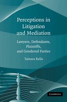 Perceptions in Litigation and Mediation