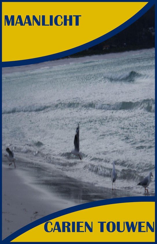 Maanlicht - cover