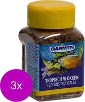 Darwin Tropical Flakes - Nourriture pour poissons - 3 x 100 ml