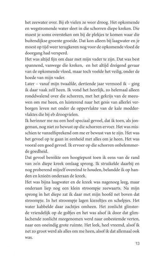 Boekpagina met tekst over de zee, de dijk, de vader en een stroompje.