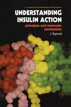 Ettore Majorana International Science Series- Understanding Insulin Action