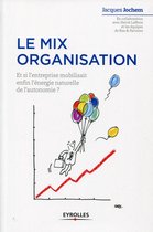 Stratégie - Le mix organisation