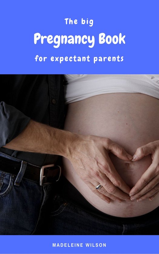 The big Pregnancy Book for expectant parents - cover