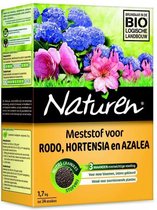 Naturen hortensia, rodo, azalea - 1,7 kg