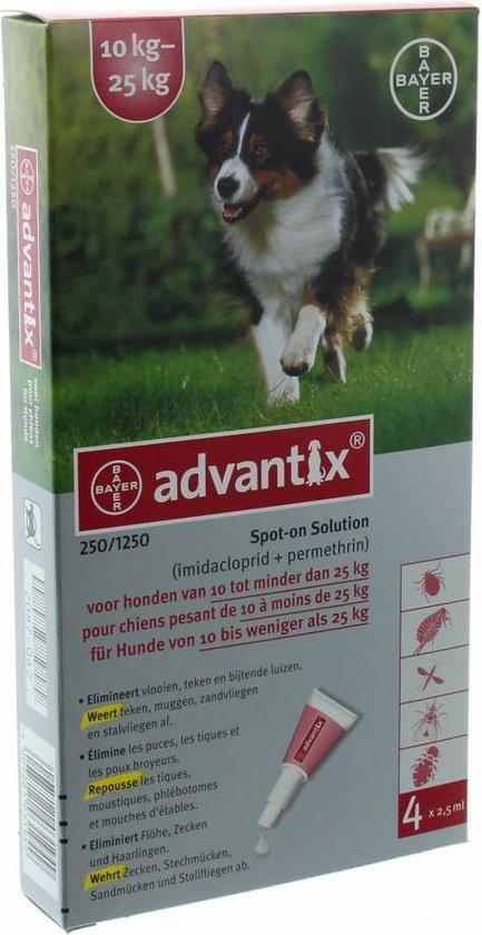 Australische Herder in de lucht op gras. Doos voor Advantix spot-on oplossing voor honden van 10-25 kg.