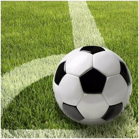 Voetbal papieren platen bekers servetten set, 96pcs voetbal feest