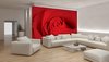 Flower Rose  Photo Wallcovering