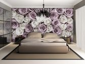 Roses Flowers Pink White Photo Wallcovering