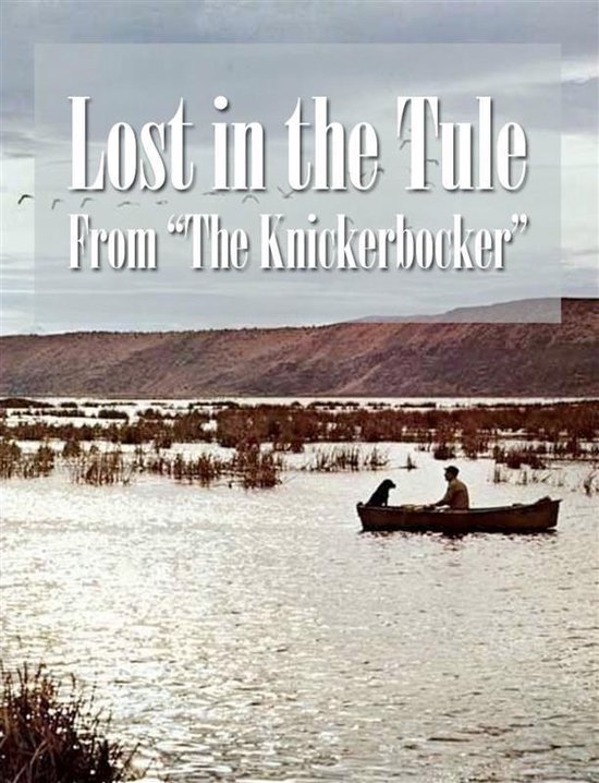 Lost In The Tule - cover