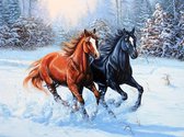 Peinture au diamant - Cheval brun et noir dans la neige - 40x30cm