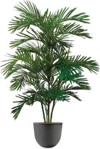 HTT - Kunstplant Areca palm in Eggy antraciet H150 cm