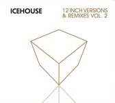 12 Inch Versions & Remixes - Vol 2