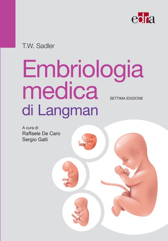 Embriologia medica di Langman 7 ed - cover