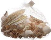 Decoratie/hobby witte/bruine schelpen 350 gram - Echte schelpjes - Maritiem/zee/strand thema