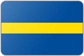 Vlag gemeente Borne - 100 x 150 cm - Polyester