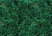 Grass Texture Photo Wallcovering