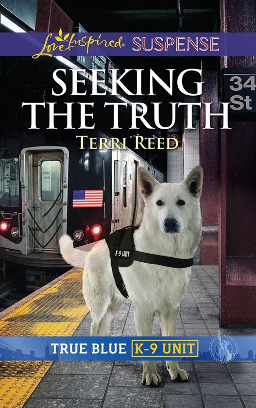 Mills & Boon Love Inspired Suspense - Seeking The Truth - cover