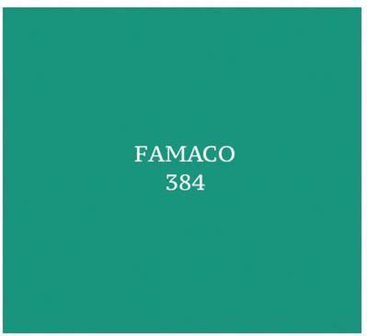 Famaco schoenpoets 384-menthe - One size