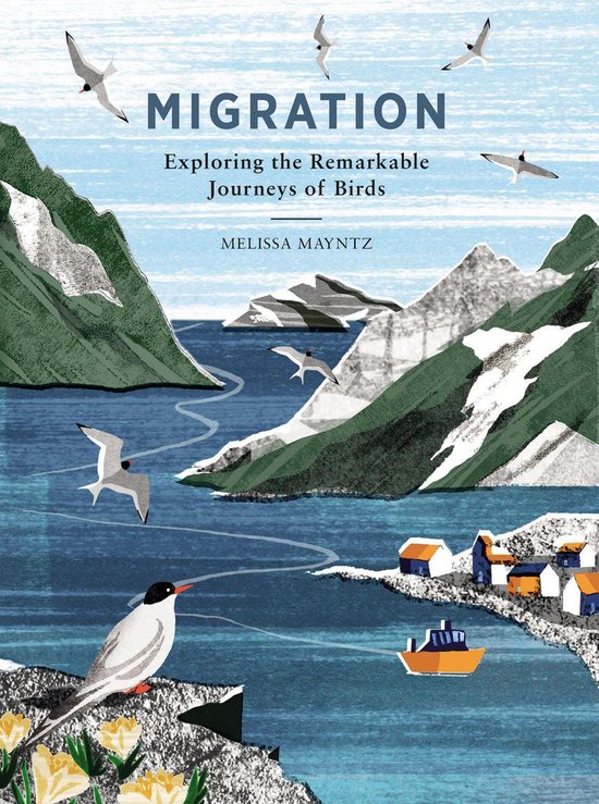 Migration - cover