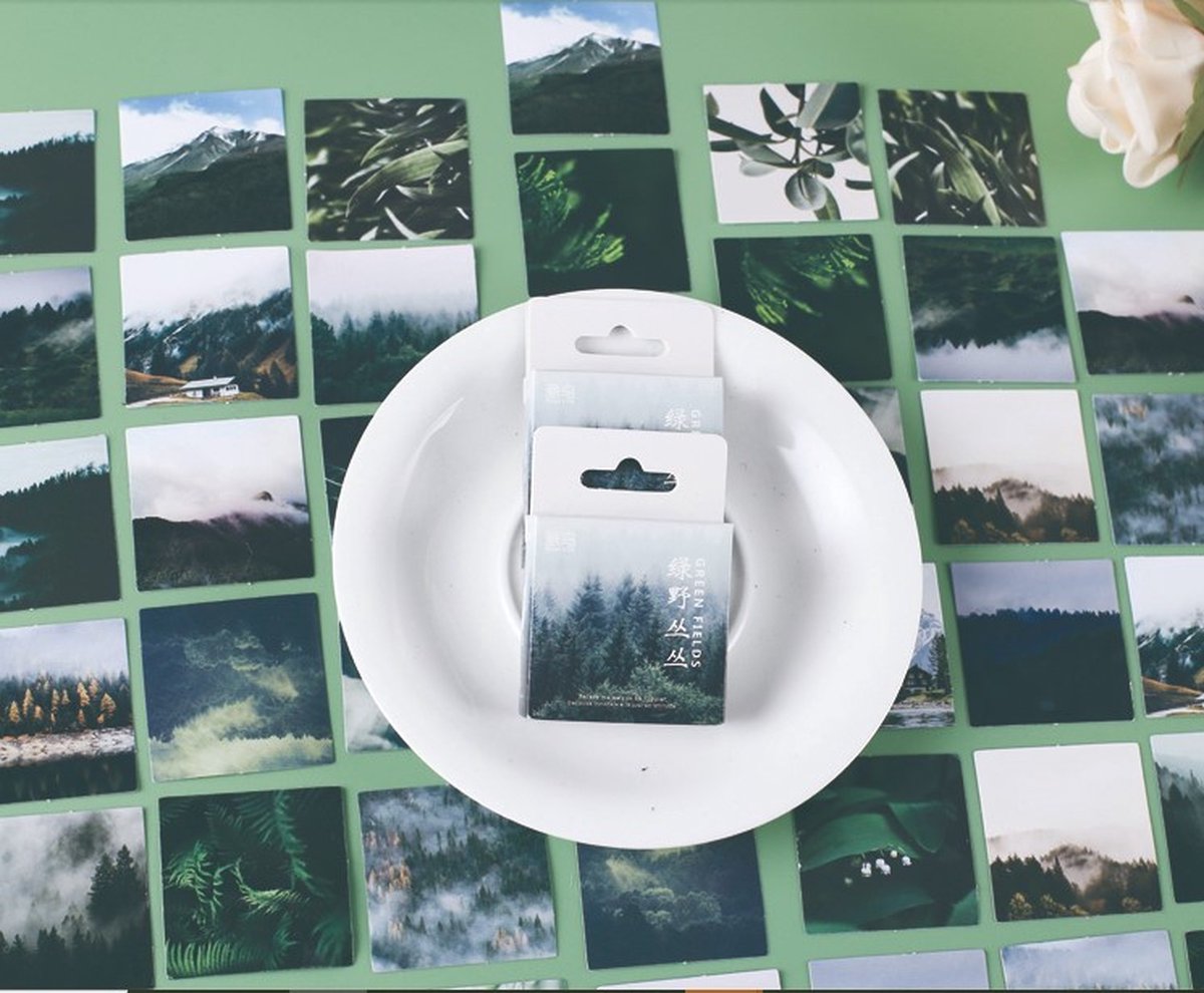 46 Stickers Natuur - EN24 - Bomen, Natuur, Vallei, Bergen, In Groentinten, Vierkante Stickers - Stickerdoosje - Voor Scrapbook Of Bullet Journal - Agenda Stickers - Decoratie Stickers — afbeelding 3