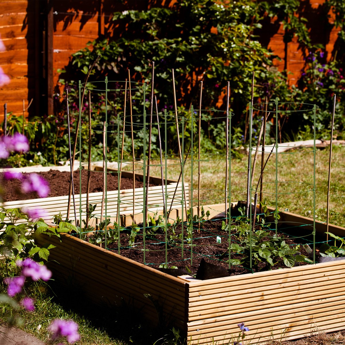 Relaxdays plantensteun, set van 2, elk met 5 ringen, 150 cm, ijzer & kunststof, klimhulp voor tomaten & rozen, groen