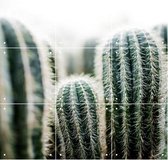 IXXI Cactus - Wanddecoratie - Bloemen en Planten - 60 x 80 cm