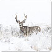 Tapis de souris XXL - Sous-main - Tapis de bureau - Cerf - Hiver - Neige - Animaux - Saisons - Wit - 80x80 cm - Tapis de souris XXL