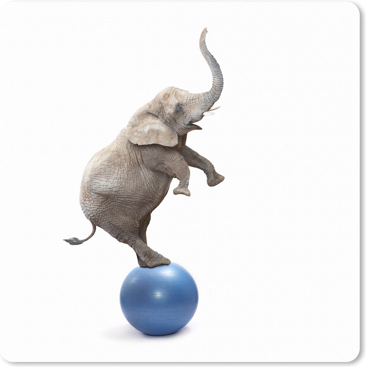 Muismat XXL 50x50 cm - Bureau onderlegger - Bureau mat Olifant - Bal - Blauw - Wit - Bureaumat - Gaming mousepad xl - Bureaulegger groot - Computer deskmat