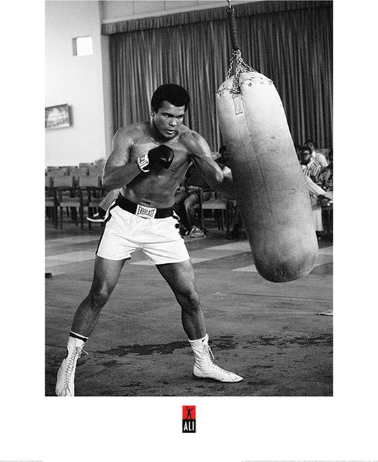Muhammad Ali Punch Bag Art Print 60x80cm | Poster