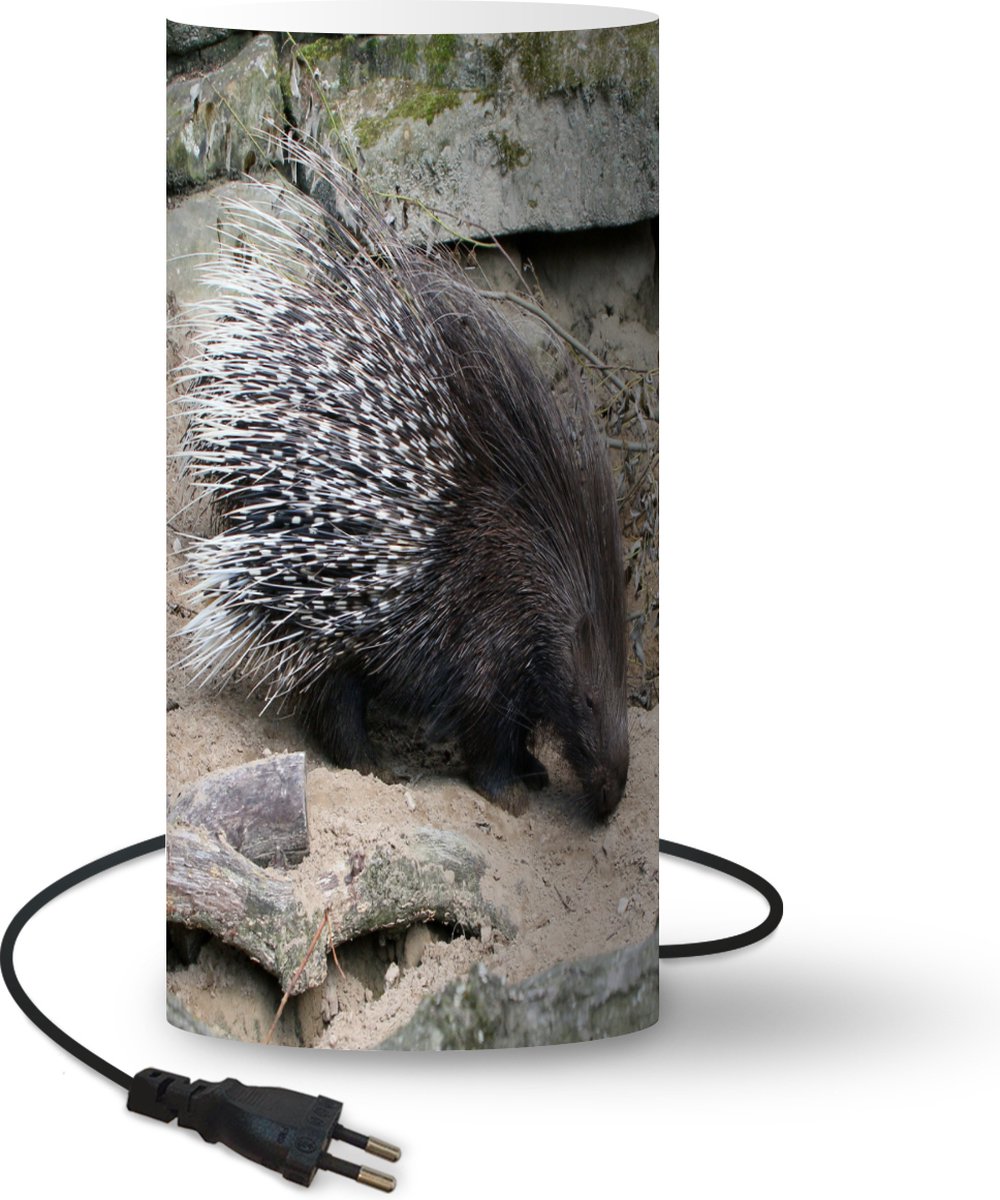 Lamp - Nachtlampje - Tafellamp slaapkamer - Witstaartstekelvarken - 33 cm hoog - Ø15.9 cm - Inclusief LED lamp