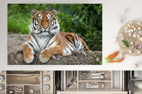 KitchenYeah® Inductie beschermer 80x52 cm - Tijger - Natuur - Stenen - Kookplaataccessoires - Afdekplaat voor kookplaat - Inductiebeschermer - Inductiemat - Inductieplaat mat