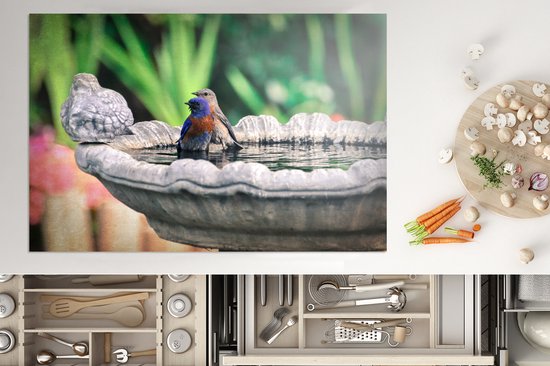 KitchenYeah® Inductie beschermer 76x51.5 cm - Vogel - Water - Fontein - Kookplaataccessoires - Afdekplaat voor kookplaat - Inductiebeschermer - Inductiemat - Inductieplaat mat