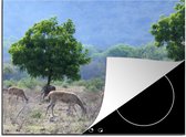 KitchenYeah® Inductie beschermer 75x52 cm - Wilde dieren door het landschap van het Nationaal Park Baluran - Kookplaataccessoires - Afdekplaat voor kookplaat - Inductiebeschermer - Inductiemat - Inductieplaat mat