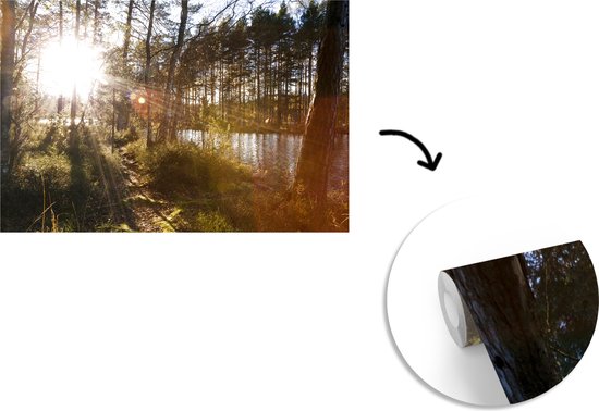 Papier peint photo vinyle - Les rayons du soleil brillent entre les arbres du parc national de Nuuksio en Finlande largeur 360 cm x hauteur 240 cm - Tirage photo sur papier peint (disponible en 7 tailles)