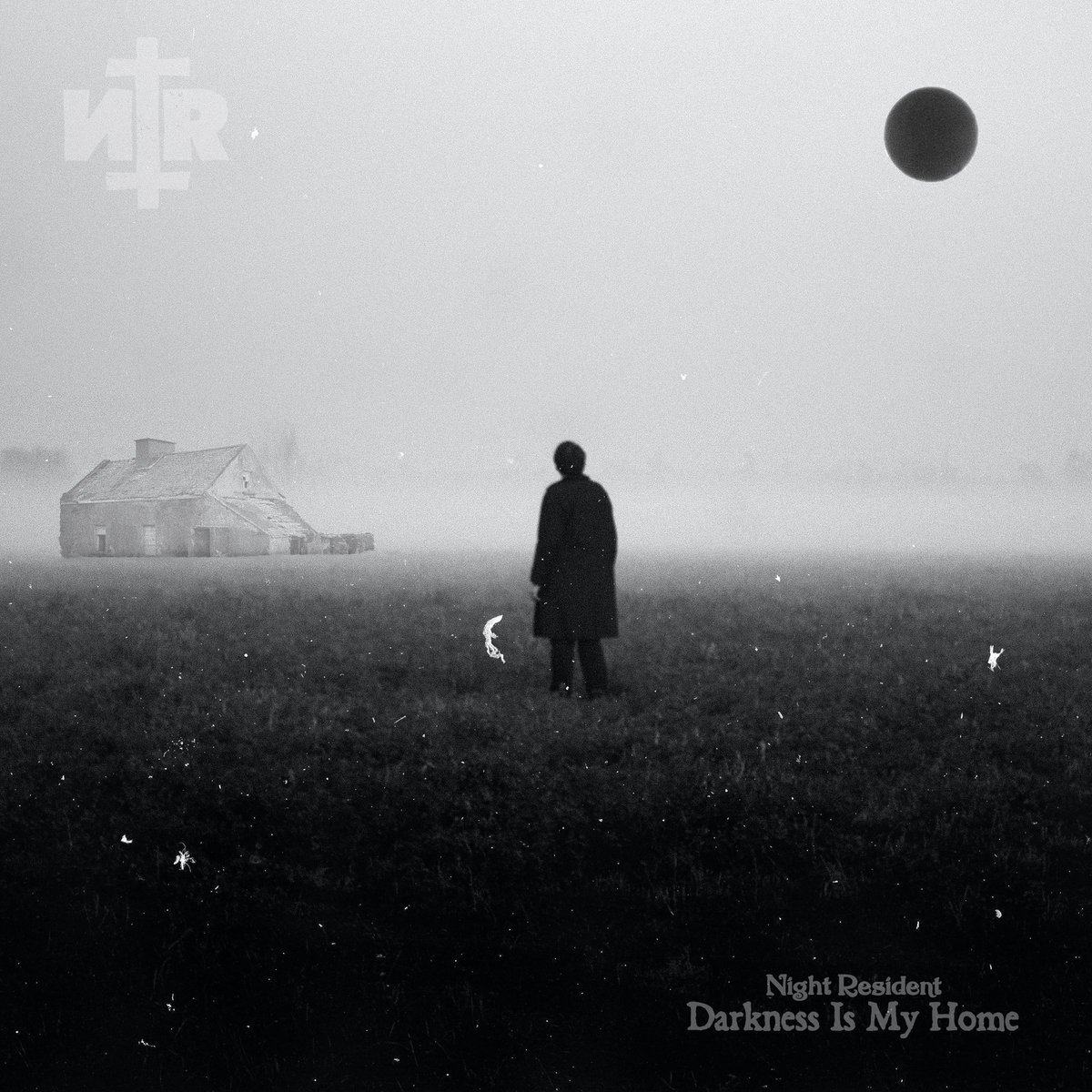 Night Resident - Darkness Is My Home (LP) (Coloured Vinyl)