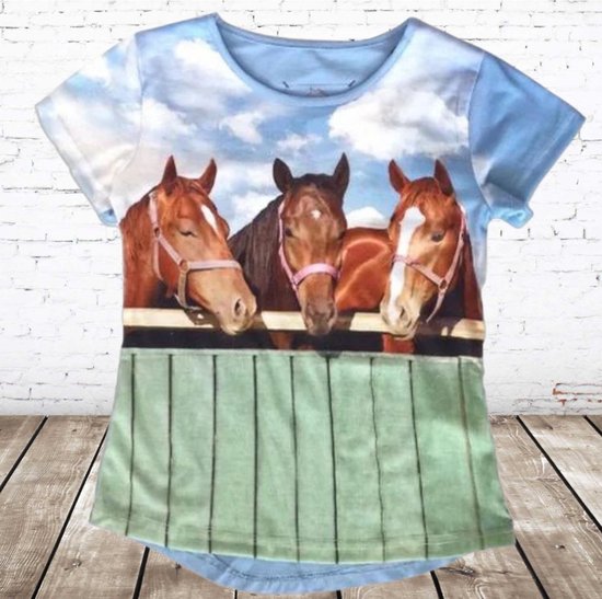 Licht blauw shirt met paarden -s&C-98/104-t-shirts meisjes