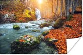 Affiche Nature - Soleil - Automne - 90x60 cm