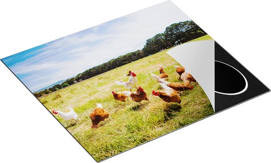 Chefcare Inductie Beschermer Kippen in het Gras - 60x52 cm - Afdekplaat Inductie - Kookplaat Beschermer - Inductie Mat
