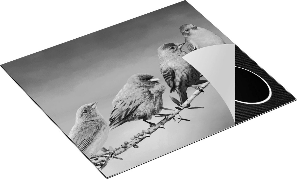 Chefcare Inductie Beschermer Kleurrijke Zangvogels op een Tak - Kleur - Zwart Wit - 59x51 cm - Afdekplaat Inductie - Kookplaat Beschermer - Inductie Mat